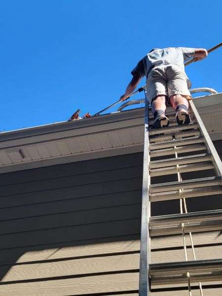 roof cleaning greenwood sc 2 1